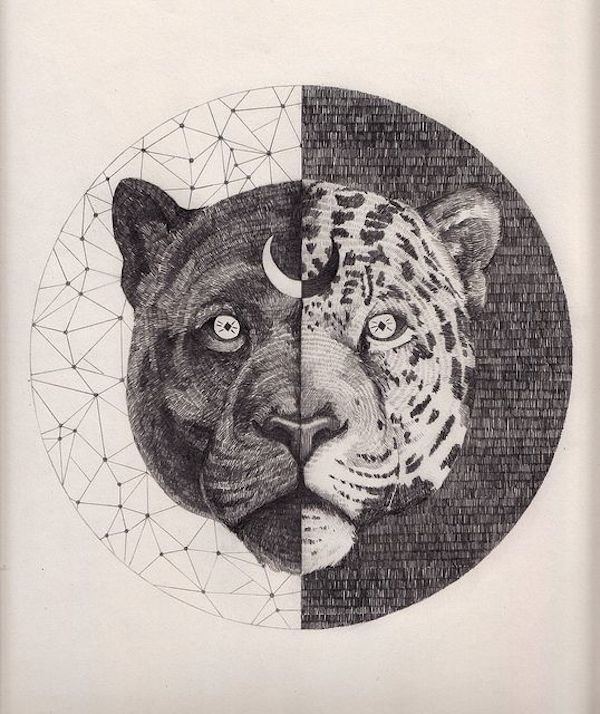 Ink drawing of a great cat's face, one half black panther, one half spotted jaguar, within a circle marked by a crescent moon — the union of shadow and light